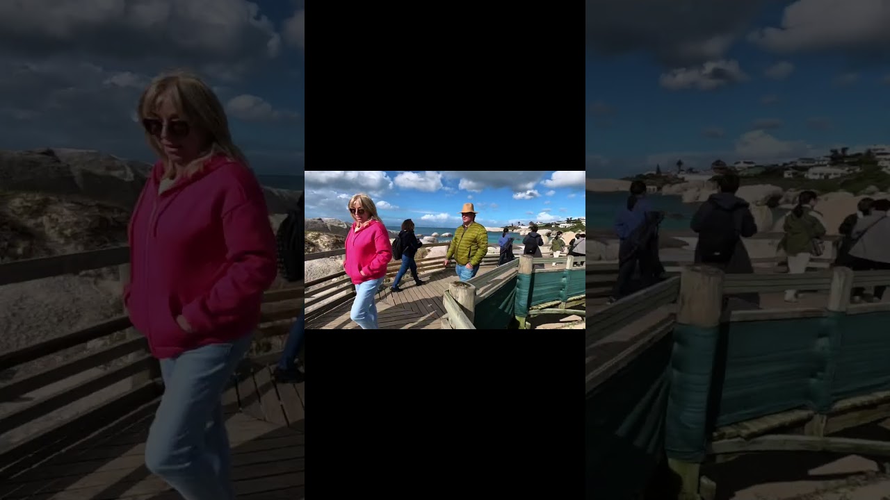 A PENGUIN Beach in South Africa?? 🇿🇦 🐧 