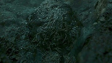 Sauron Resurrects and Becomes Halbrand The Rings of Power Season 2 Episode 1