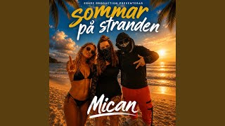 Sommar på stranden - Mican