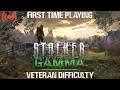 S.T.A.L.K.E.R. GAMMA VETERAN IRONMAN PLAYTHROUGH PART 5 | FIRST TIME PLAYING |