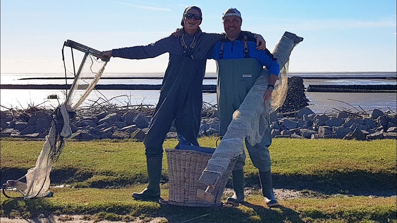 Krabbenfischen im Wattenmeer im Priel mit Schiebehamen (Schuv-Nett) & Schleppnetz | #075