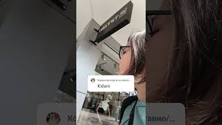 ti si kidara stoki jedna