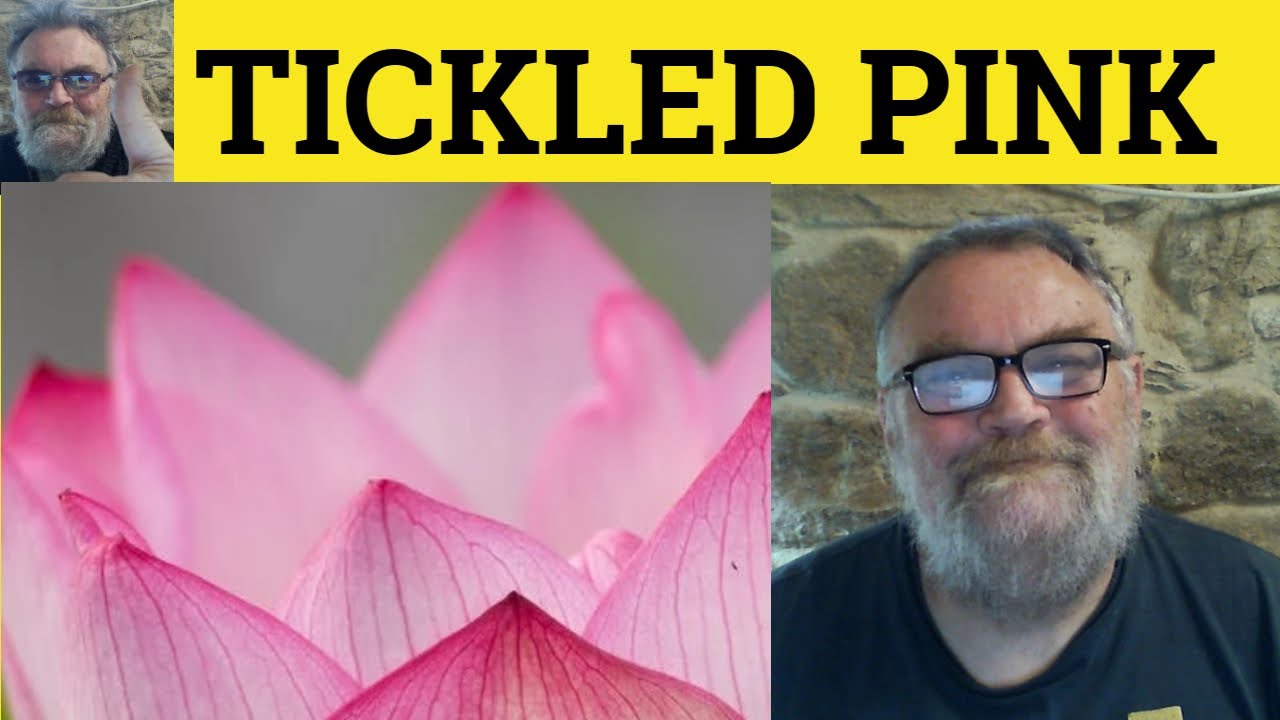 Tickled Pink Meaning Tickled Pink Examples Tickled Pink tickled-pink-meaning-tickled-pink-examples-tickled-pink
