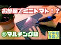 【水耕栽培大学】お部屋でミニトマト栽培！！②　マルチング編