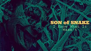 SON of SNAKE- I Know What It Wasn’t