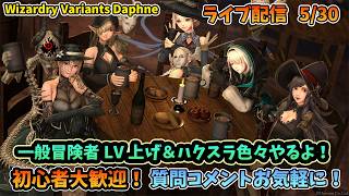 【初心者大歓迎！】Wizardry Variants Daphne 冒険者LV上げとハクスラ色々やってくよ！  5/30【コメントも大歓迎！】