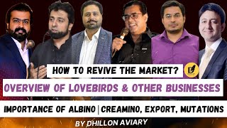 Overview of Lovebirds & Other Businesses|Albino |Creamino |Export |Mutations #parrot #bird #lovebird