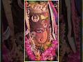 Ujjain के ज्योतिर्लिंग भगवान श्री महाकालेश्वर जी का भस्म आरती श्रृंगार दर्शन! Mahakal Bhasm Aarti