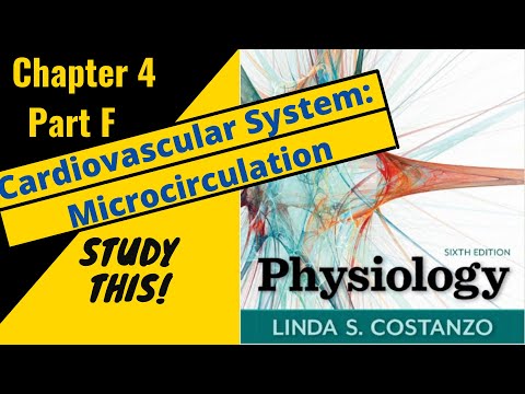 Costanzo Physiology (Chapter 4F) Cardiovascular: Microcirculation and Chapter Summary || Study This!