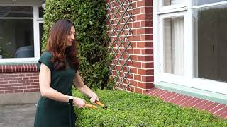 Open2view NZ - ID# 555541 - 7 Greenhurst Street