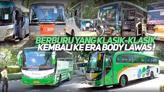 BANYAK BUS KLASIK DI ACARA KAMPANYE NASIONAL INI‼️KEMBALI KE ERA BODY JETBUSHD & MARCOPOLO‼️