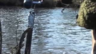 Rainbow Lake Schlott Behuzas Part 2