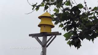 Federal Signal Model 5 Estherville Iowa