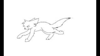 Cat Running Cycle Test