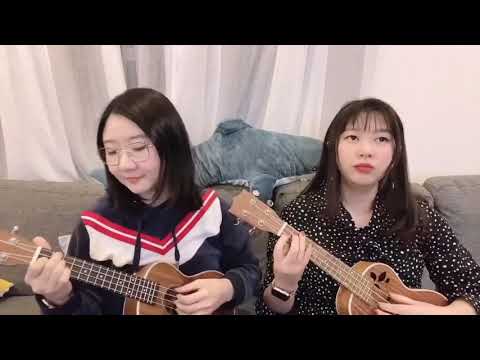 情深深雨蒙蒙 尤克里里 ukulele