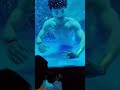 Aquaman