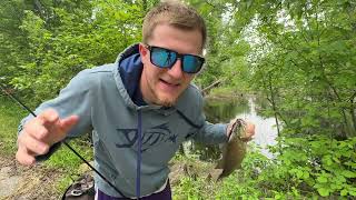 Flooded Forest LOADED With Fish!