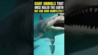 5 Giant Animals That Once Ruled the Earth But Are Now Completely