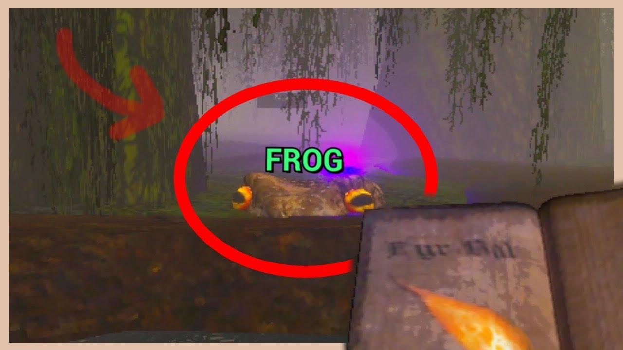 I Got Thrown Into a Mage Arena... Send Help
