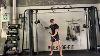 Standing Cable Staff Twist (High to Low) demonstration