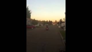 Mya Dion Pi Pepere Lester Le Breton