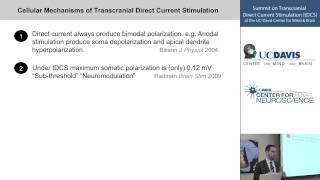 Cellular Mechanisms of Transcranial Direct Current Stimulation (tDCS)