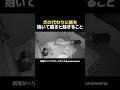 犬の代わりに枕を抱いて寝ると起きること