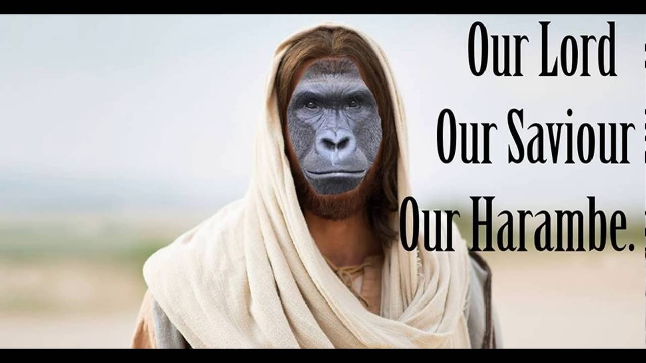 harambe our lord and saviour youtube