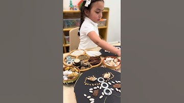 A Reggio Emilia Activity