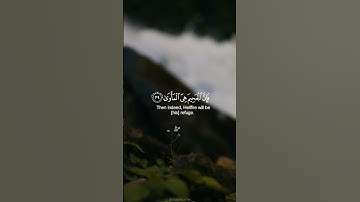 سورة النازعات|اسلام صبحي🌿| #quraan #قرآن #تلاوة_هادئة #سورة #تجويد #راحة #اسلام_صبحي #سورة_النازعات_