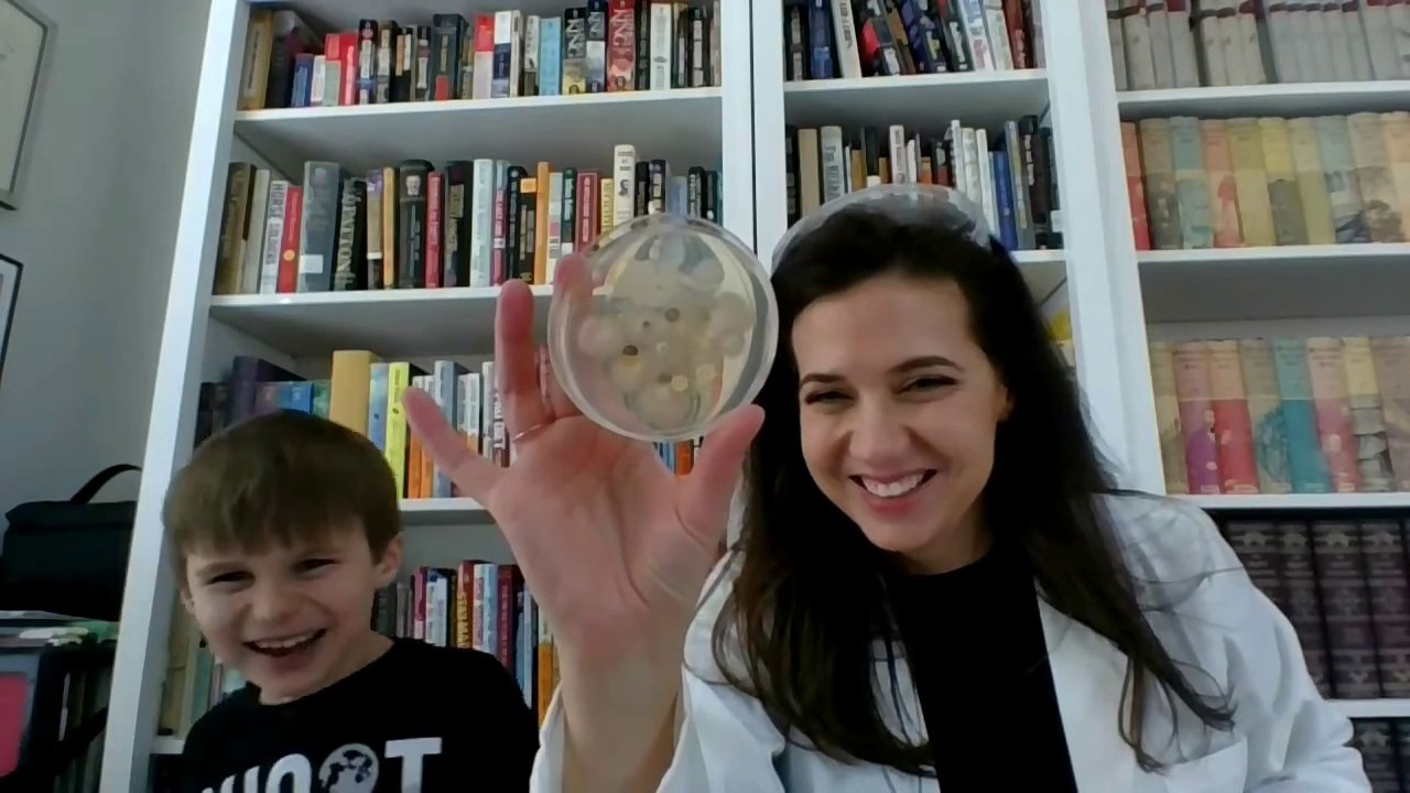 Are Dogs' Mouths Cleaner Than Humans' Mouths? A Science Experiment