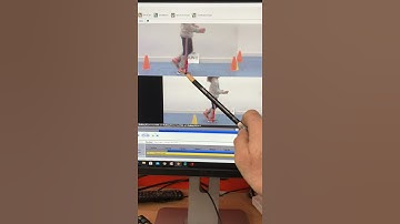 How we fine tune our orthotics using visual data from our gait lab