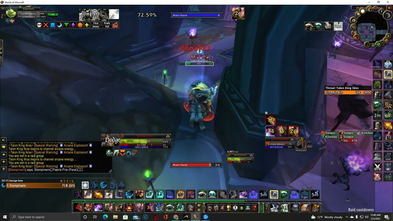 Feral Druid Enchanter Sethekk Halls Solo Farm 350g per 5 resets