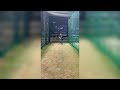 Zaid alam batting practice in psl 6  sheikh zayed cricket stadium abu dhabi