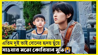 My Annoying Sister Movie Explain In Bangla|Korean|Drama|The World Of Keya