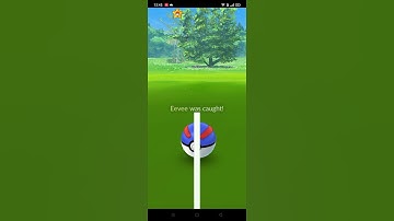Catch a shiny eevee in  Pokemon go