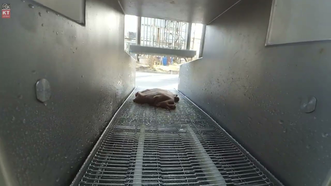 Инъектор Ruhle IR17 (Германия) Б/У