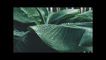 سورة التوبة كاملة  بصوت القارئ عبد الله عواد الجهني (بدون اعلانات)