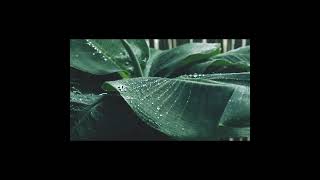 سورة التوبة كاملة بصوت القارئ عبد الله عواد الجهني (بدون اعلانات)