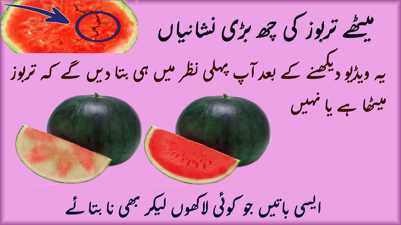 essay on watermelon in urdu