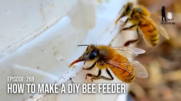 Feeding Bees Sugar Water with a DIY Honey Bee Feeder: Homemade Bee Feeder | The Bush Bee Man