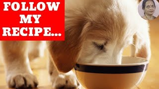 VEGETARIAN FOOD FOR PUPPY | What To Feed A Puppy | New Puppy Diet Plan | Puppies Full Day Of Eating|