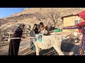 Bath time for Donkey in Winter (Warm bath), DOORA official channel