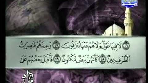 سورة الصافات الشيخ توفيق الصائغ As-Saaffaat1/2