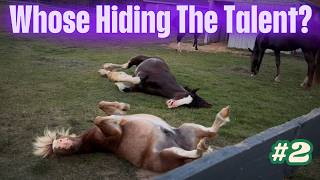 I Wasn’t Ready for Her Power! Horse Power Unleashed !