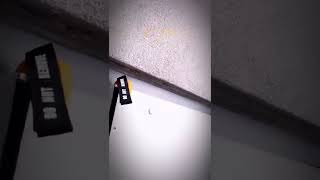 Militaur high-visibility orange door jam. Helps keep doors from closing and marks entry points.