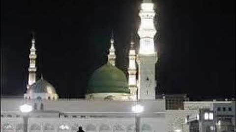 القارئ رحمون عامر