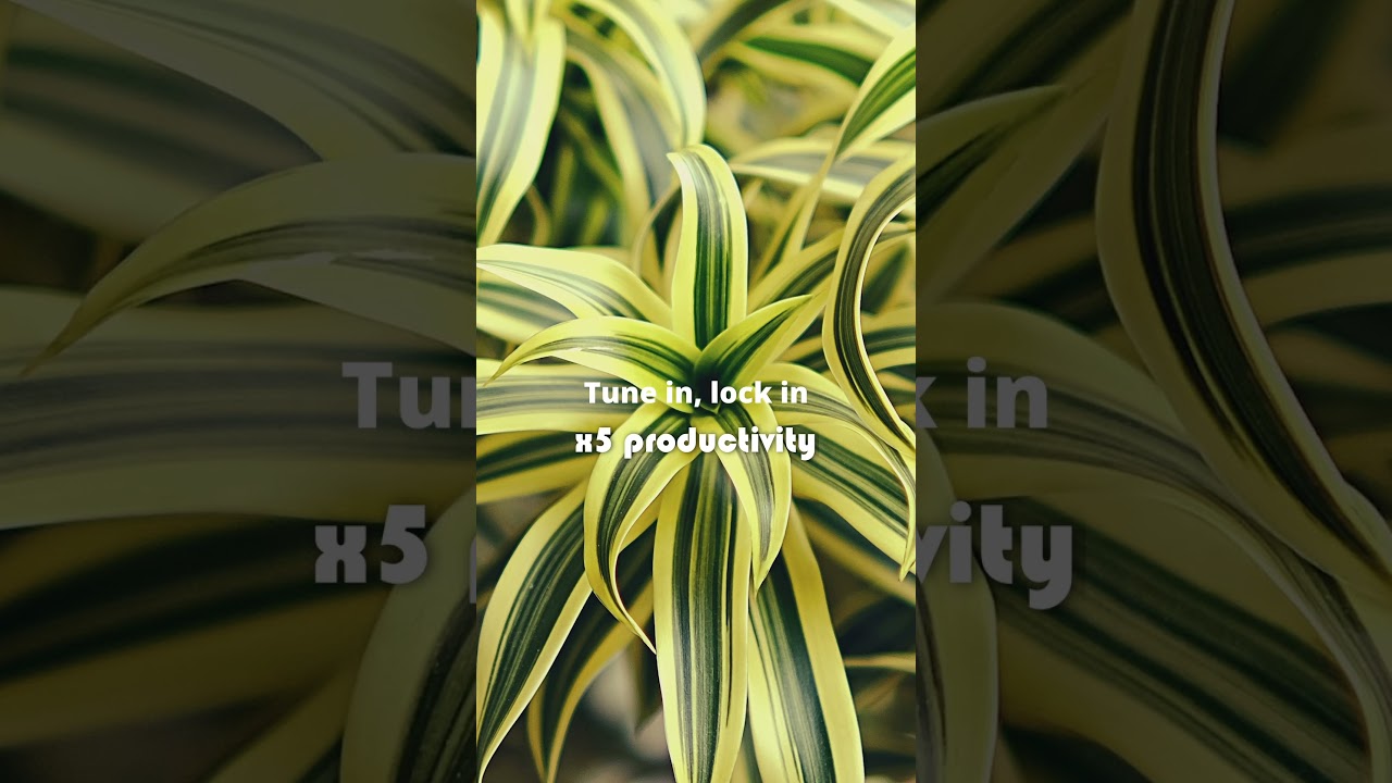 Can This Simple PLAYLIST Technique BOOST Your Concentration?