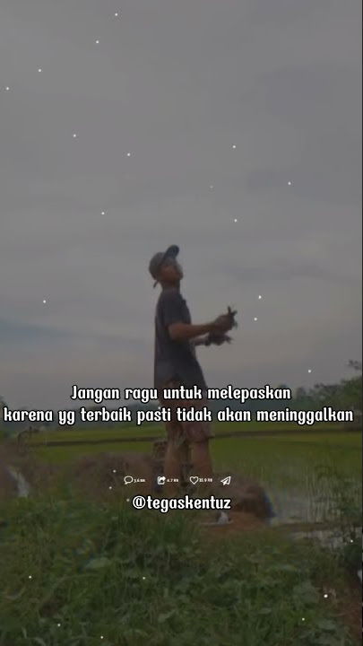 kata kata nyelekit.😂 #merpati #merpatikolongindonesia #merpatilovers #merpatipekalongan #pekalongan