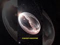 The Mystery of Vacuum Decay at Planck Density Explained #shorts